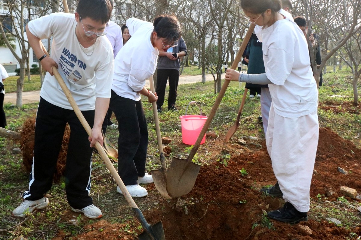 Últimos blogs de la empresa sobre La tecnología de la forestación de Honhai: Protegiendo los pulmones verdes de la Tierra