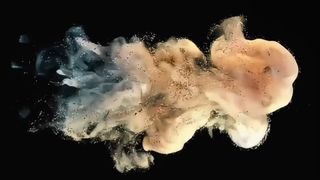 Polvo revelador Toshiba D5070 500g para e-STUDIO